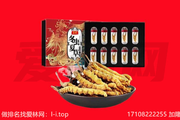 西安市临潼回收虫草.jpg